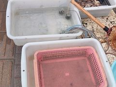 -霞涌市场海鲜摆卖区