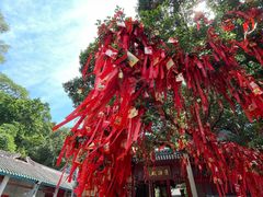 -国恩寺