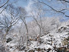 -紫金山山顶公园