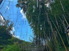 -宁波浙东大竹海景区