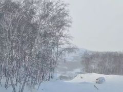 -乌兰布统草原