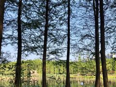 -昆山城市生态森林公园