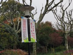 -黄兴公园