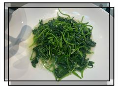 清炒芥兰苗-老燕皇·南京菜(玄武湖店)