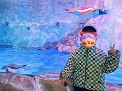 -芜湖新华联大白鲸海洋公园