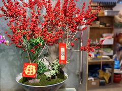 -双季花艺园艺市场(浦东店)