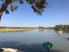 -白洋淀景区