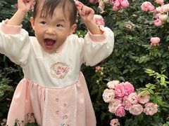 -人民公园(罗湖区)