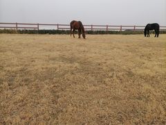 -汉长安城未央宫国家考古遗址公园