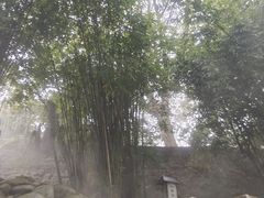 -三江森林温泉度假区