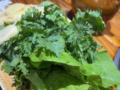 -菌之家·专业纯野生菌火锅·特色炒菌