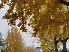 -南宫温泉水世界