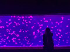 -哈尔滨波塞冬海底世界