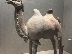 -敦煌市博物馆