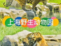 -上海野生动物园