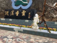 -广州市流溪河国家森林公园