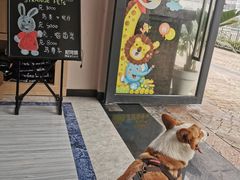 -瑞派名望24h动物医院异宠专科·猫专科·骨科·重症监护分院