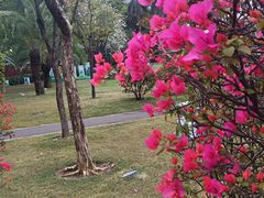 -文华公园(禅城区)
