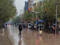 -傣妹火锅(南京东路一店)