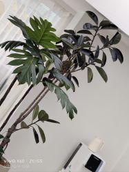 -HEYAN荷妍专业脱毛连锁机构
