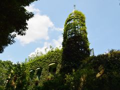 -三鹰之森吉卜力美术馆