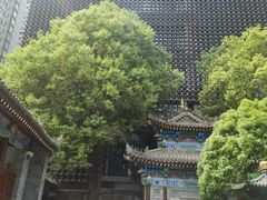-罔极寺