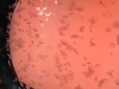 -沈阳海洋探索中心