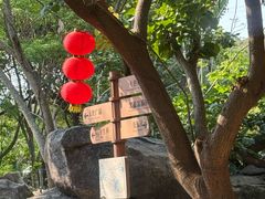-丹樱生态园