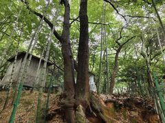 -宝岩生态观光园