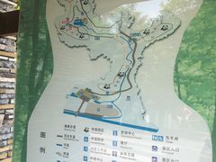 -都江堰中华大熊猫苑