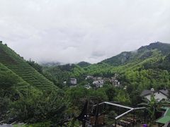 -心无尘茶餐馆(径山村店)