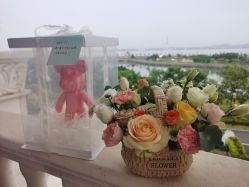 -臻康乃馨月子中心(集美店)