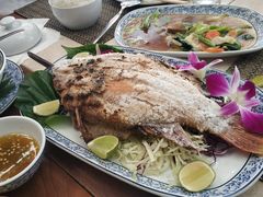 -卷心菜和避孕套餐厅(Pattaya)