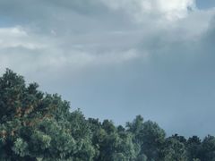 -苍山感通索道