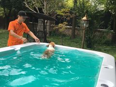 -翊宠yipet猫狗购宠庄园犬舍•猫舍