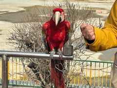 -水上乐园·欢乐世界