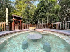 -天目湖涵田半山温泉