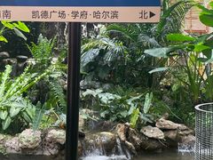 -凯德广场(学府店)
