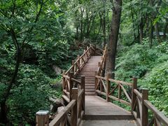 -大岭沟猕猴桃谷风景区