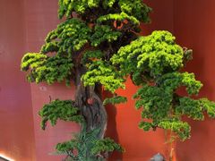 -阿伟海鲜楼·福建菜(延寿店)