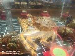 -望海潮海鲜店 特色家常菜(在海一方店)