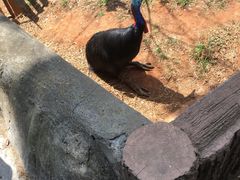 -昆明动物园