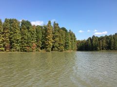 -上海海湾国家森林公园