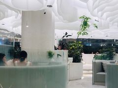 -大树餐厅(朝阳大悦城店)