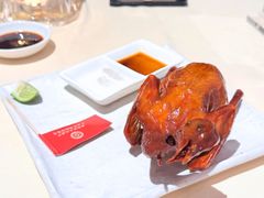-侨美食家·粤菜(体育西路店)