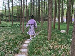 -河南省黄河迎宾馆