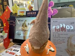 -野人先生现做冰淇淋(西安赛格店)