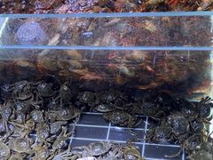 -聚盛源蒸汽海鲜火锅烤肉自助(巨川金海岸购物广场店)