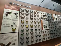 -天津自然博物馆