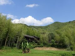 -大唐贡茶院